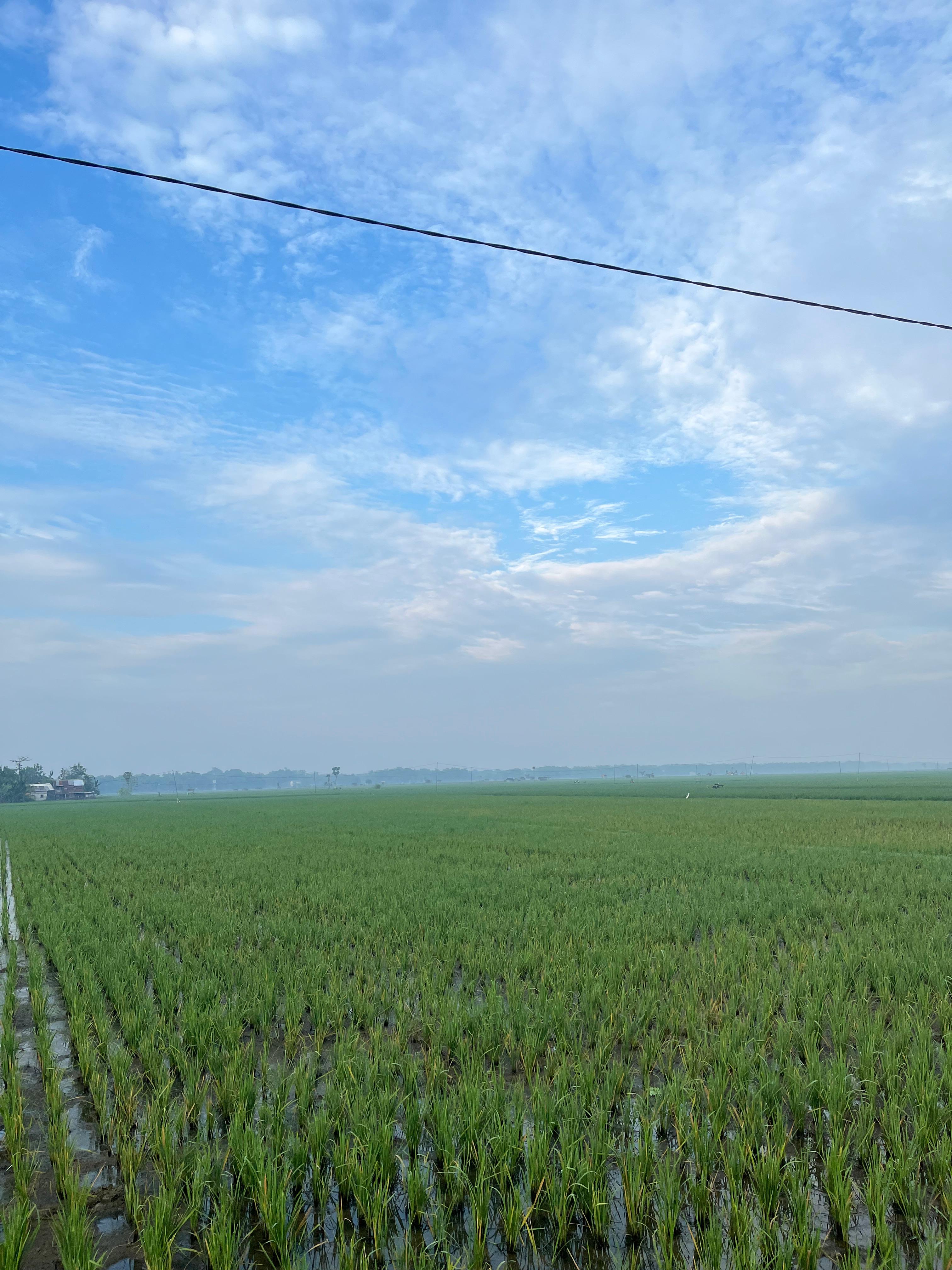 Sedekah Bumi Desa Sumberpitu